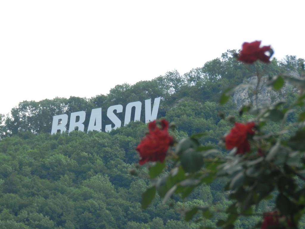 Hotel La Vita E Bella Brașov Exterior foto